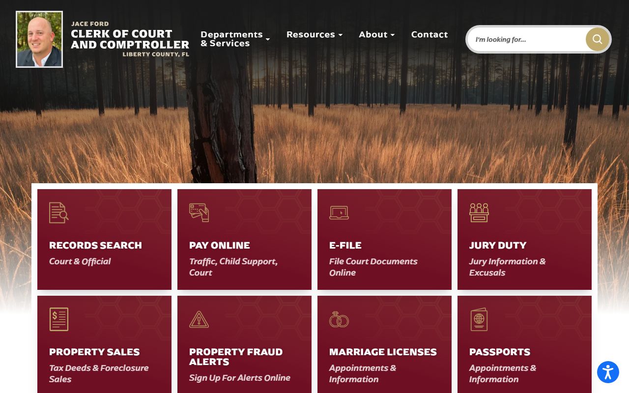 Liberty County Clerk of Court homepage for criminal history records access